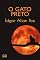 Livro O gato preto