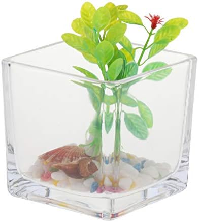 ミニ 魚タンク 限定special Price 金魚鉢 厚いガラス 生態学的魚タンク 繊細 デスクトップ 美しい インテリア ミニ 魚タンク 限定special Price 金魚鉢 厚いガラス 生態学的魚タンク 繊細 デスクトップ 美しい インテリア