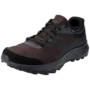 SALOMON TRAILSTER 2 GTX heren Trail hardloopschoenen