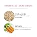 100% PURE Multi-Vitamin PM Face Serum Anti-Aging Night Moisturizer Feeds Thirsty Skin with Retinol & Potent Antioxidants from Vitamin C Nightly Facial Skincare Restore & Rejuvenation - 1 Fl Oz