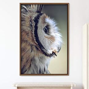 signwin Framed Canvas Wall Art Owl Birds Dramatic...