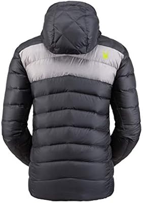 patagonia hooded puffer