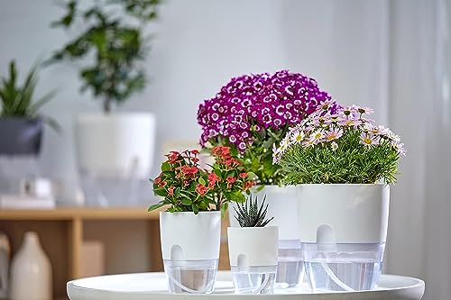WAWASIA Self Watering Pots for Indoor Plants, 4 Pack Decorative Plant Pots with Extra Large Water Storage, Suitable for Indoor Outdoor Plants and Flowers (White, 9.3 Inch)