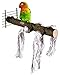 BWOGUE Bird Perch,Nature Wood Stand Toy Branch for Parrots Cages Toy