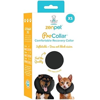 Amazon.com : KONG EZ Soft E-Collar for Cats and Dogs ...