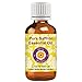 Deve Herbes Pure Saffron Essential Oil (Crocus sativus) 100% Natural Therapeutic Grade Steam Distilled 2ml (0.06 oz)