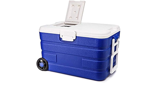 Nevera portátil de 40 litros de capacidad, de Haodamai, para ...