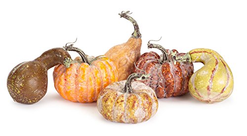 Melrose International Pumpkin Gourd Autumn Multicolored 4 inch Foam Harvest Figurines Bag Set of 6 - Thumbnail 3