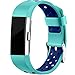 Maledan Replacement Sport Bands with Air Holes Compatible for Fitbit Charge 2, Teal/Blue, Small