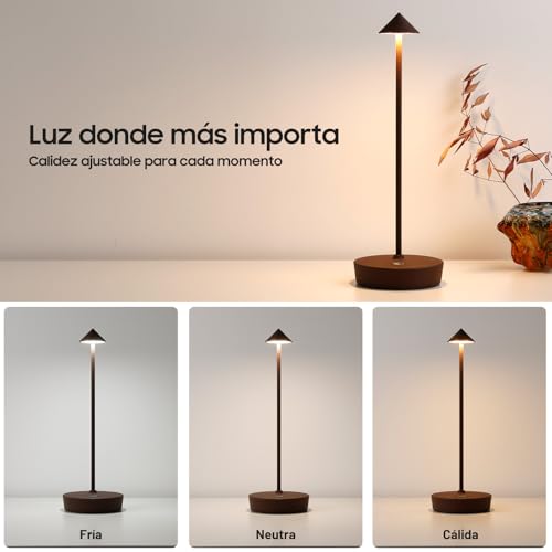 HYMZP Rechargeable Wireless Table Lamp, LED Table Lamp, 3 Colour Modes, IP54, for Indoor/Outdoor, Restaurant (2 x Rust)