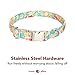 Lionet Paws Dog and Cat Collar with Bowtie,Soft and Comfortable,Adjustable Collar
