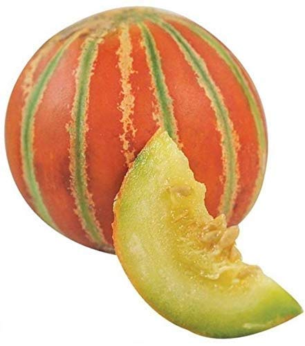 Floriculture Greens Muskmelon (Kharbuja) Fruit Seeds For Home Gardening Planting