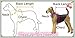 Spring Autumn Big Dog Clothes Coat Jacket Clothing for Dogs Large Size Golden Retriever Labrador 3XL-9XL Adidog Hoodie (Black, 6XL)