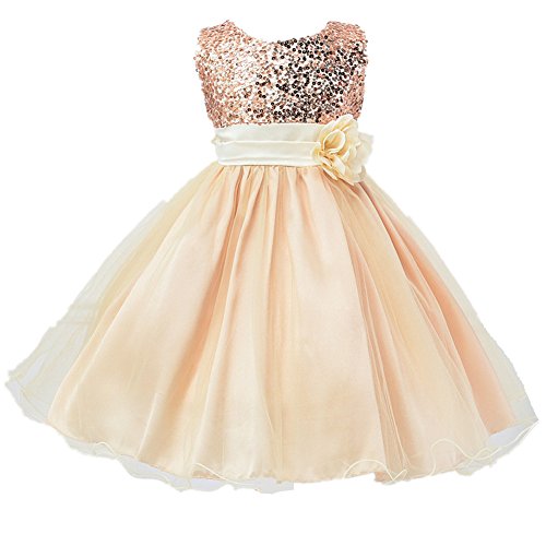 Oushiny Girls' Sequin Bodice Party Dress Princess Costume 10 colors for 2-12