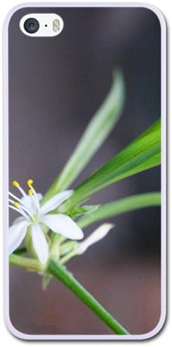 Iphone 6 6s [4.7inch] Case - Chlorophytum Iphone 6 6s [4.7inch] Case