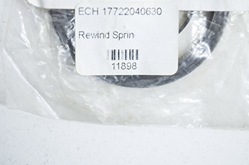 Echo 17722040630 - rewind spring