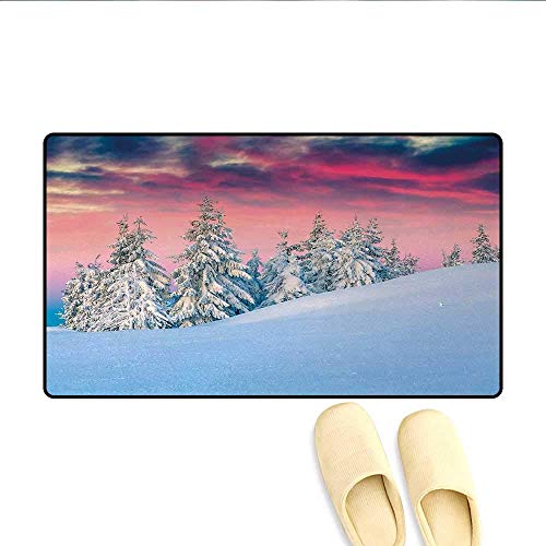 Jugbasee Bath Mat,Idyllic Scenery in Snow Covered Serene Mountains Pine Tree Forest Majestic Sky,Door Mats for Home,Pink Blue Cream,Size:16 24 inch