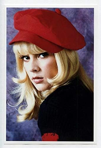 Amazon Co Jp 歌手 シルヴィ バルタン Sylvie Vartan 写真 フォト 小 Portrait Photograph 81a シルビー ヴァルタン ホビー