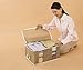 1Storage Clothing Organizer Bag, Breathable Material, 2cells, Carry Handles, LightBrown 902-09