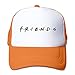 JCCHEN Unisex Adult Purple Baseball Cap,Mesh Cap,Special Design Of Friends Logo Hat