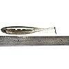 DrFish-Softbait-Wiggle-Shad-Soft-Plastic-Swimbait-Fishing-Lure-Smallmouth-Bass-Perch-3-Blue-Pumpkinseed-green