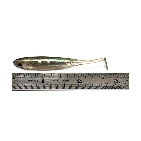 DrFish-Softbait-Wiggle-Shad-Soft-Plastic-Swimbait-Fishing-Lure-Smallmouth-Bass-Perch-3-Blue-Pumpkinseed-green