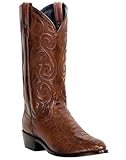 Dan Post Men's Ostrich Leg Boot