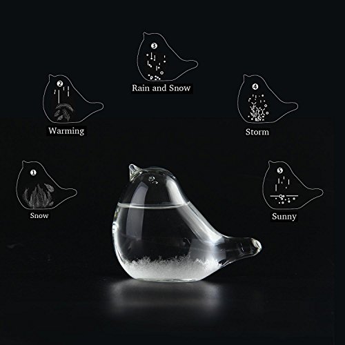Lesgos Storm Glass, Creative Stylish Weather Station Forecaster Storm Glass Crystal Desktop Decor Glass for Home Office Birthday
