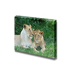A Lioness with a Young Male Wall Decor