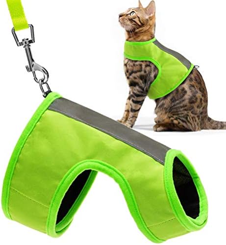 EXPAWLORER Reflective Cat Jacket Harness with Leash Set for Walking, Safety Traffic Soft Nylon Adjustable Vest for Pet Small Dogs Fluorescent Green