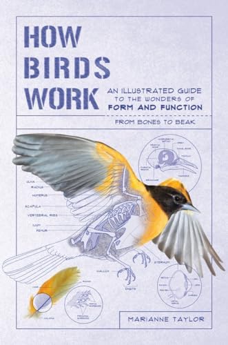 Birds: The Art of Ornithology: Elphick, Jonathan, Prys-Jones