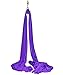 Aerial Silks Equipment for Acrobatic Flying Dance, Includes All Hardware, Fabric and Guide (Dark Purple)