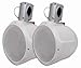 MCM Custom Audio 60-10020 6 1/2" Marine Wakeboard Two-Way Speaker Pair - White
