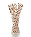 Food With Fashion Thanksgiving Dinner Paper Straws - Orange & Gold for Drinking, Cute Disposable, 25 Pack
