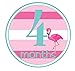 Mumsy Goose Baby Girl Stickers Tropical Monthly Bodysuit Stickers 1-12 Month Milestones Pink Flamingo