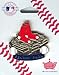 Boston Red Sox Fenway Park Pin