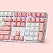 Qisan 100% Full Size 108 Keys Mechanical Gaming Keyboard GATERON Blue Switch Crystal Case White Backlight PBT Dye-subbed Keycaps Lovely Pink for Girls or Women by Magicforcethumb 3