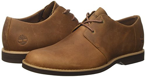 timberland stormbuck lite