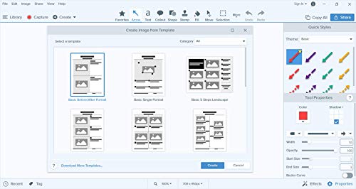 Snagit 2020 - Screen Capture & Image Editor [PC/Mac Online Code] - Thumbnail 6