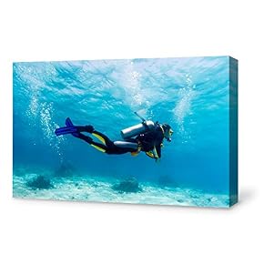 SIGNFORD Canvas Wall Art for Living Room,Bedroom Home...