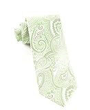 100% Silk Woven Apple Paisley Tie