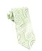 100% Silk Woven Apple Paisley Tie
