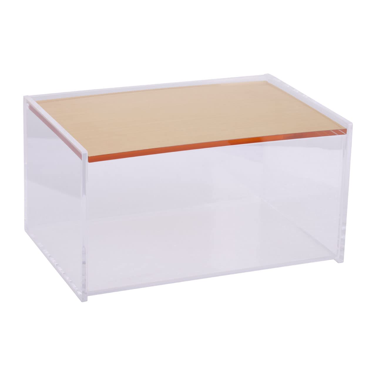 Premier Housewares Large Storage Box Storage Containers/Clear Acrylic Design Containers/Gold Finish Outdoor Storage Containers Dimensions W18 x D12 x H10cm.