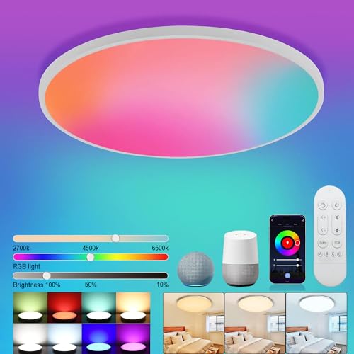 Redare Alexa Smart Ceiling Light,RGBIC Wifi Ceiling Lamp,30cm 24W Dimmable LED Color Changing Ceil Lamp Compatible with Alexa Google Home,Flush Mount Light Fixture for Bedroom,Kitchen (WiFi, White)