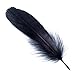 AWAYTR 100 Pcs Nature Goose Feathers for DIY Craft Wedding Home Party Decorations (Black)