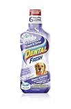 SynergyLabs Dental Fresh Advanced Plaque and Tartar-17 Oz