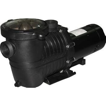 Amazon.com : Energy Efficient 2 Speed Pump for In-Ground
