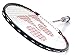 Yonex NANORAY 10F NEW Badminton Racket Red 2017 Racquet 4U/G5 Pre-strung with a Half-length Cover (NR10F-RED)