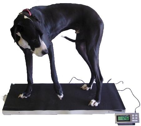 700lb x 0.2lb Extra Large Vet Scale 44" x 22" Stainless Steel platform, Animal, Livestock, Vet Weighing. Easy to Use