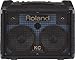 Roland KC-110 3-Channel 30-Watt Stereo Mixing Keyboard Amplifier